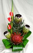 Hawaiian Protea Arrangement